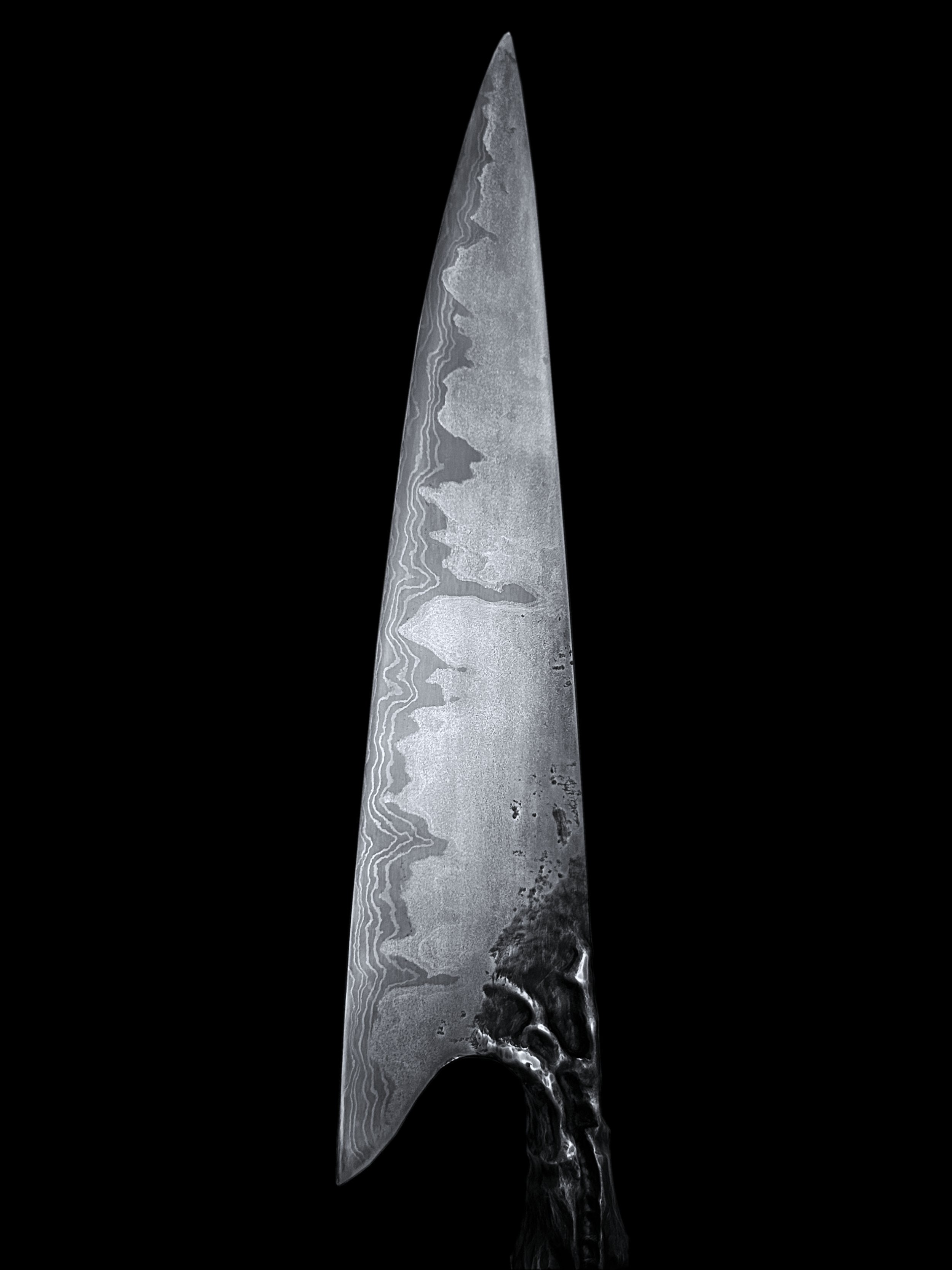 "Embryon"