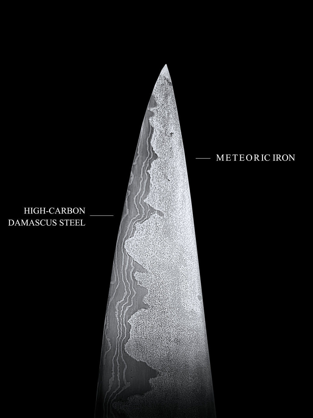 "Embryon"