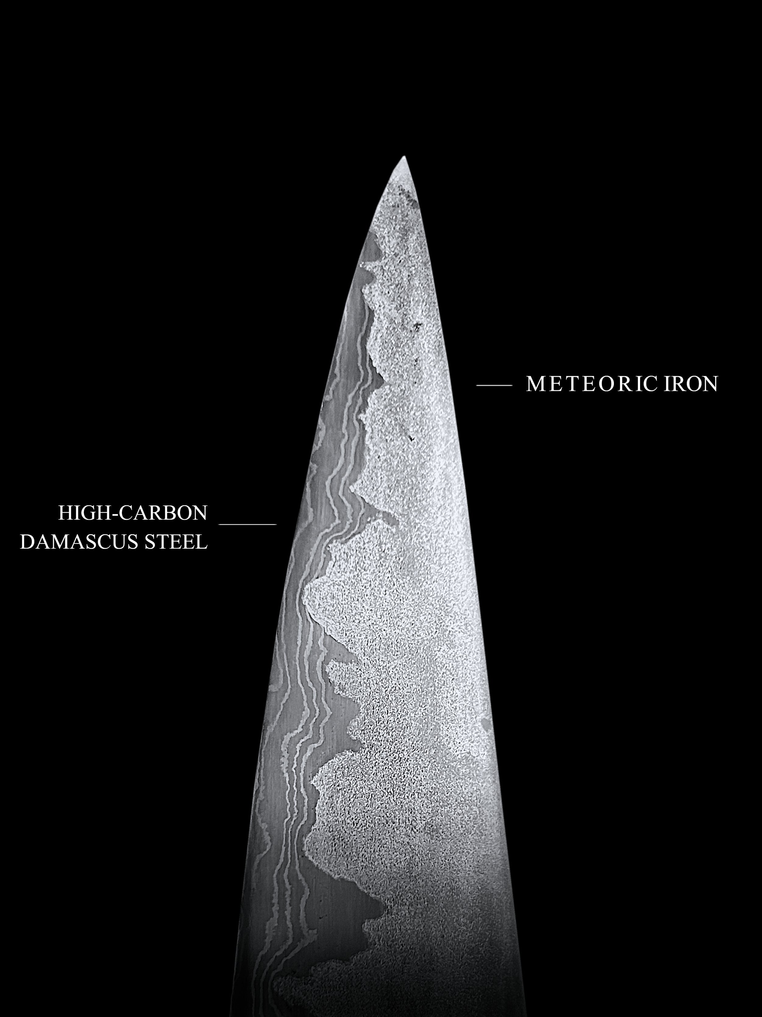 "Embryon"