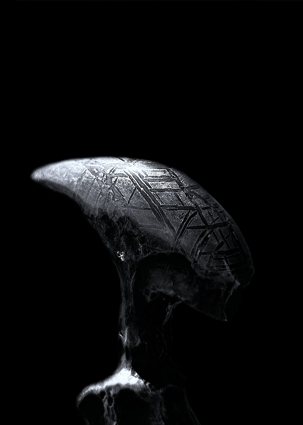 "Exogeinos"